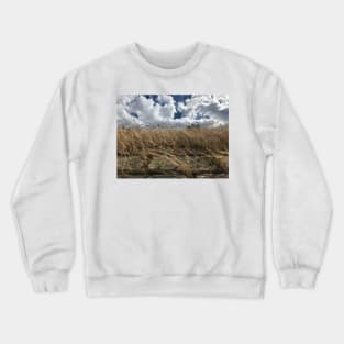 Believe, hope and be happy. Picturesque cumulus cloud scenery with windy bush plants Crewneck Sweatshirt